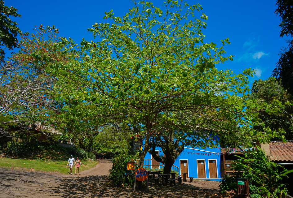DSC01621